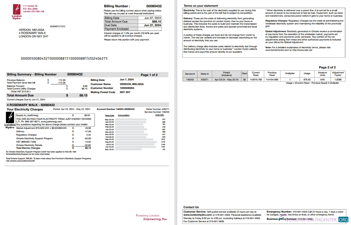 download download Canada Ontario London Hydro utility bill scr